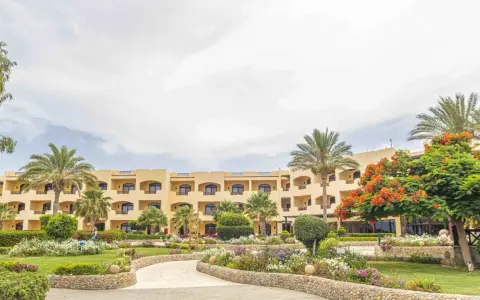 Piękny hotel z palmami i kwitnącym drzewem. Wiele pozytywnych blend elphistone resort opinie potwierdza urok tego miejsca.