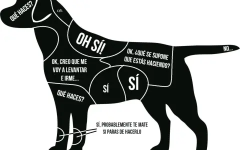 Mapa de zonas de caricias para un perro, indicando dónde acariciar para que se duerma y dónde no.