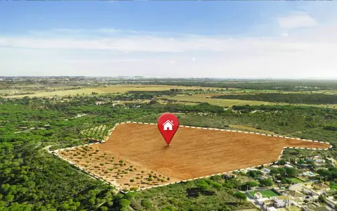 Vista aérea de varios tipos de terrenos: un campo marrón arado, un bosque de pinos y un área residencial.
