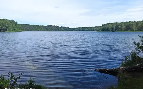 Spokojne jezioro Głęboczek otoczone lasem, z łagodnymi falami na wodzie i błękitnym niebem.