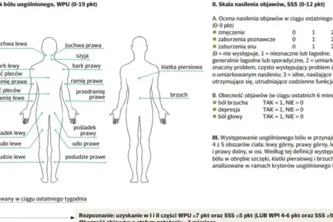 Schemat pokazuje, gdzie fibromialgia boli: żuchwa, szyja, bark, górna i dolna część pleców, ramię, przedramię, klatka piersiowa, brzuch, pośladek, udo, podudzie.