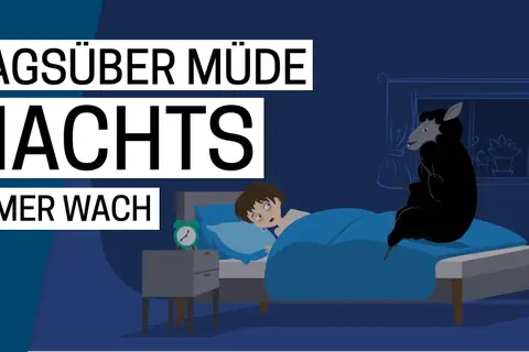 Müde tagsüber, nachts immer wach. Ein Schaf zählt Lämmer, doch die Insomnie Symptome halten die Person wach.