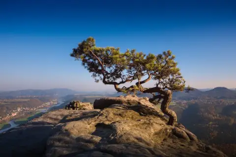 Ein einsamer Baum auf Felsen thront über einem malerischen Tal mit Fluss und Dorf. Ein perfektes Motiv für Reiseziele Ostdeutschland.