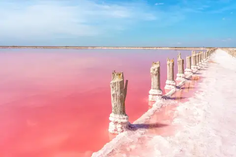 Alicante różowe jezioro, z drewnianymi słupkami porośniętymi solą, tworzy surrealistyczny krajobraz pod błękitnym niebem.