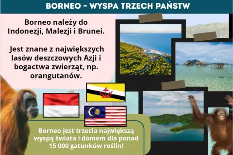 Borneo, trzecia największa wyspa świata, słynie z lasów deszczowych i orangutanów. Należy do Indonezji, Malezji i Brunei.