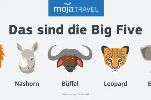 Die Big Five der Safari: Löwe, Nashorn, Büffel, Leopard und Elefant.