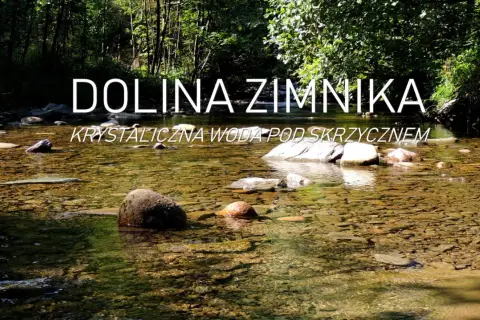 Krystalicznie czysta woda płynie przez kamieniste dno w Dolinie Zimnika. Słońce przebija się przez liście drzew, tworząc refleksy na powierzchni.