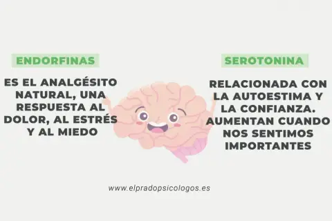 Endorfinas: el analgésico natural, respuesta al dolor, estrés y miedo. Serotonina: relacionada con autoestima y confianza.