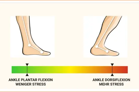 Bei Achillessehne Schmerzen wann zum Arzt? Die Grafik zeigt Fußstellungen: Plantarflexion (weniger Stress) und Dorsiflexion (mehr Stress).