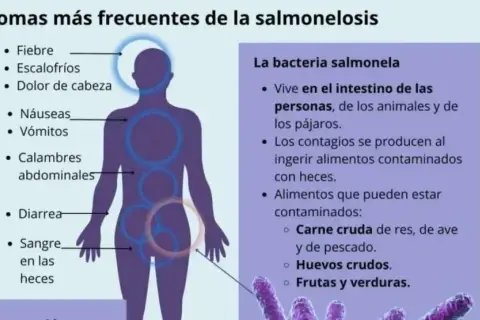 Síntomas de intoxicación alimentaria: ¿estás en riesgo? Identifícalos ya