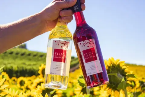Zwei Flaschen Floc de Gascogne, ein Wein aus Gascogne, Frankreich, stehen vor einem Feld voller Sonnenblumen.