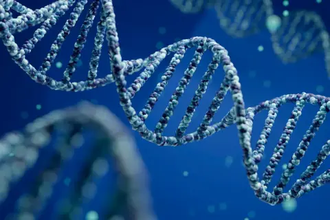 Schéma de l'ADN en double hélice, avec des particules bleues et violettes formant la structure.