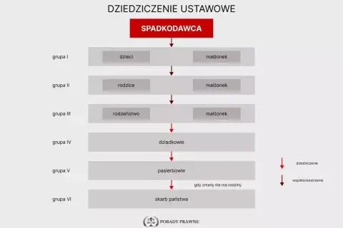 Schemat przedstawia kolejność dziedziczenia ustawowego: od dzieci i małżonka, przez rodziców, rodzeństwo, dziadków, pasierbów, aż do skarbu państwa.