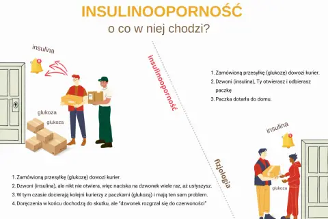 Ilustracja wyjaśnia insulinooporność: kurierzy z glukozą nie mogą się dodzwonić do komórek (domu), bo insulina (dzwonek) nie działa.