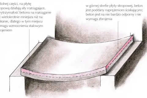 Ilustracja przekroju stropu pokazująca naprężenia rozciągające i ściskające oraz zbrojenie.