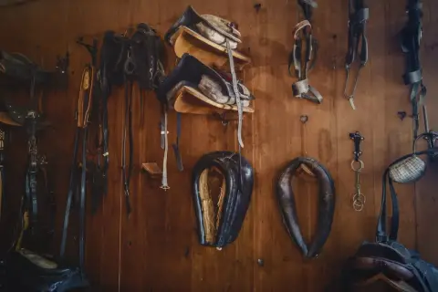 Collection d'équipements équestres en cuir animal, prêts pour la prochaine aventure.