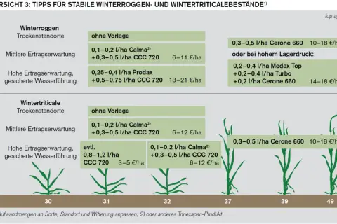 Übersicht zu Wachstumsregler Weizen: Empfehlungen für Winterroggen und Wintertriticale je nach Ertragserwartung und Wasserführung.