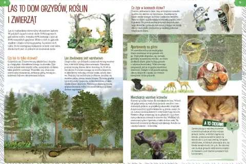 Ilustracja przedstawia las z różnymi zwierzętami i roślinami, w tym dzikiem, sarną, wiewiórką i ptakami.