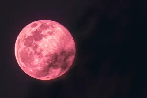 Pełnia różowego księżyca rozświetla nocne niebo, ukazując swoje kratery i morza.