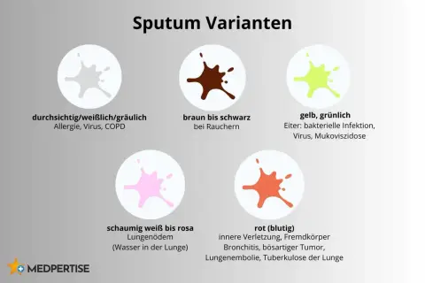 Gelb, grünlich: Eiter bei bakterieller Infektion, Virus, Mukoviszidose. Das Bild zeigt verschiedene Sputum-Varianten.