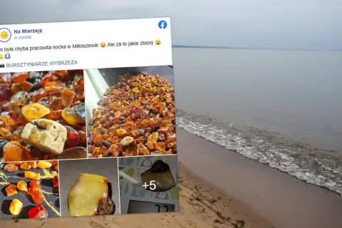 Wspaniałe zbiory bursztynu z polskiego wybrzeża. Właśnie tak wygląda miejsce, gdzie szukać bursztynu w Polsce.