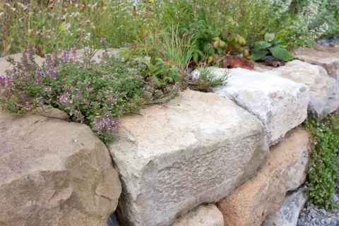 Natürliche Steine bilden eine rustikale gartenmauer. Thymian und andere Pflanzen wachsen zwischen den Felsen.