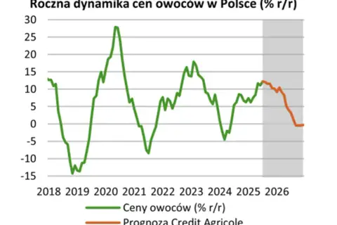 Prognozy cen truskawek 2026: Czy rekord 10 zł/kg się powtórzy?