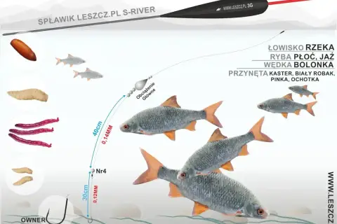 Na ilustracji wędkarz przygotowuje zestaw z przynętą, w tym różową ochotką, by złowić płoć lub jaź.