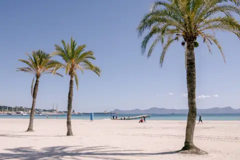 Palmy na piaszczystej plaży Playa de Muro, z widokiem na spokojne morze i góry w oddali.