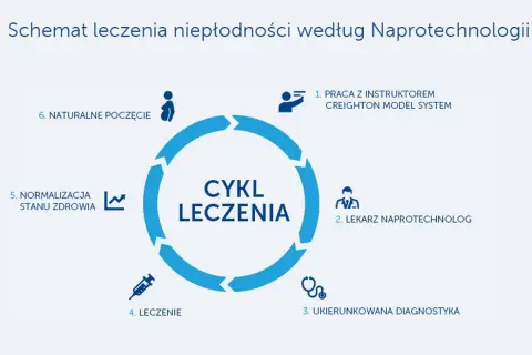 Cykl leczenia niepłodności według naprotechnologii: praca z instruktorem, lekarz naprotechnolog, diagnostyka, leczenie, normalizacja stanu zdrowia i naturalne poczęcie.