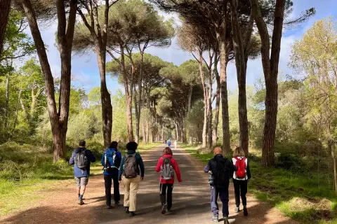 Gruppo di escursionisti cammina su un sentiero alberato, godendosi la natura. Il **san rossore** del cielo si riflette tra i pini.