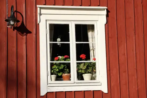 Fönster med röda pelargoner på en faluröd vägg. Hoppas de klarar sig från frost.