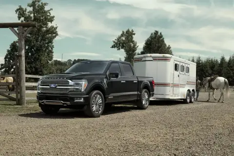 Czarny Ford F-150 Platinum holuje przyczepę z koniem na farmie.