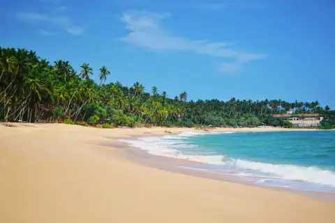 Rajskie Sri Lanka plaże z palmami i turkusową wodą. Idealne miejsce na relaks.