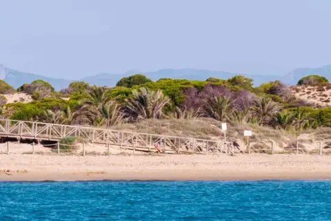Pasarela de madera que sube a la vegetación dunar en la playa Los Tusales. El mar azul contrasta con la arena y las palmeras.