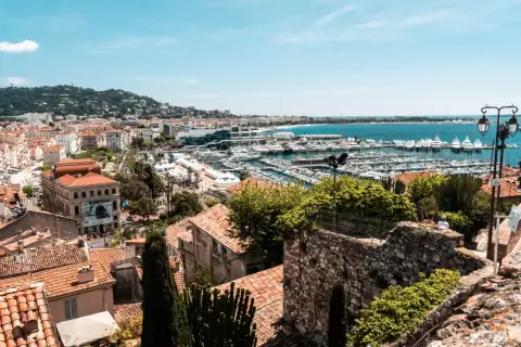 Widok na port w Cannes z licznymi jachtami i budynkami. W oddali wzgórza porośnięte zielenią.