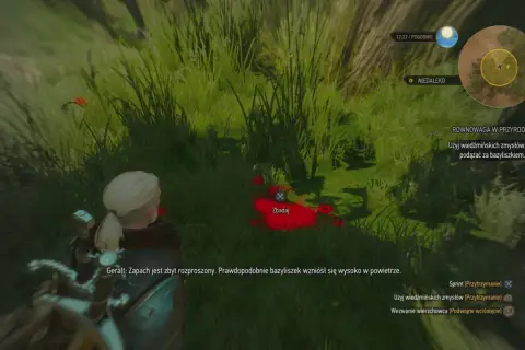 Geralt bada ślady bazyliszka, szukając go w trawie. Wiedźmińskie zmysły pomogą odnaleźć stworzenie, przywracając równowaga w przyrodzie.