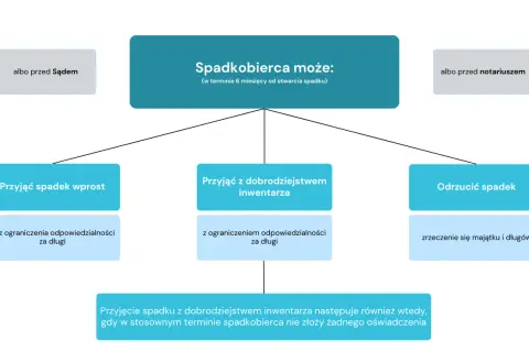Schemat postępowania spadkowego: spadkobierca może przyjąć spadek wprost, z dobrodziejstwem inwentarza lub odrzucić spadek.