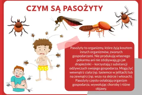 Ilustracja pokazuje kleszcze, komary i inne **gzy owad**, które atakują przerażonego chłopca.