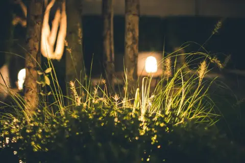 Nocne oświetlenie ogrodu inspiracje: trawy i krzewy rozświetlone ciepłym blaskiem lamp, tworząc magiczną atmosferę.