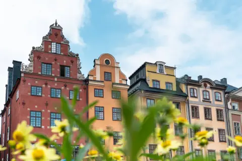 Bunte Häuserfassaden in Stockholm, ein malerischer Anblick, der zu den Stockholm Geheimtipps gehört. Gelbe Blumen blühen im Vordergrund.