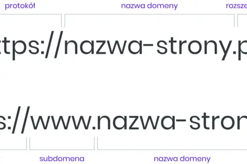 Schemat adresu URL z rozszerzeniem .pl, wskazującym, że domena co jaki kraj jest polska.