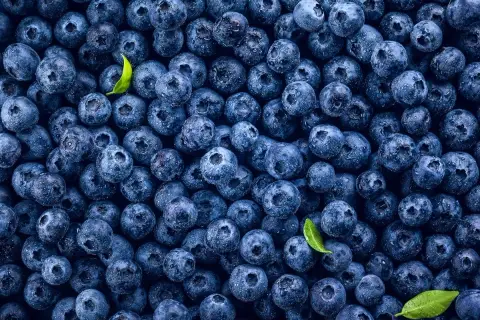 Mnóstwo soczystych borówek, idealnych na zdrową przekąskę. Sprawdź, jakie mają borówki kcal!