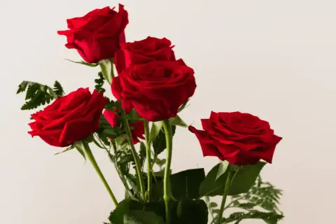Cinq roses rouges, symbole d'amour passionné. Un bouquet pour exprimer des sentiments profonds.