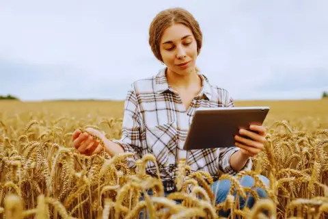Młoda agronomka w kratowanej koszuli analizuje dane na tablecie, trzymając w dłoni kłos pszenicy na polu.