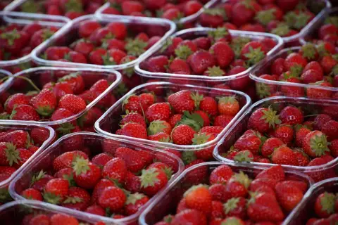 Mnóstwo świeżych truskawek w plastikowych opakowaniach. Sprawdź aktualne ceny warzyw i owoców Bronisze, by kupić te pyszności!