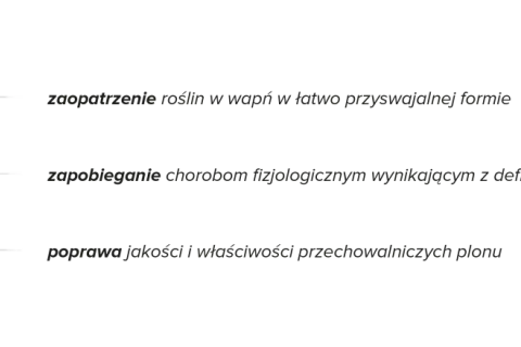 Wapń dla roślin: łatwo przyswajalny, zapobiega chorobom, poprawia jakość plonu. Wapnovit to klucz do zdrowych upraw.