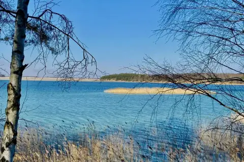 Wiosenny dzień nad Jeziorem Rybnickim. Woda lśni, a trzciny szumią na brzegu.