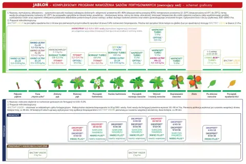 Schemat nawożenia jabłoni: etapy rozwoju drzewa, stosowane nawozy i preparaty mikrobiologiczne.
