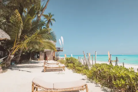 Plaża na Zanzibarze z palmami, leżakami i turkusową wodą.